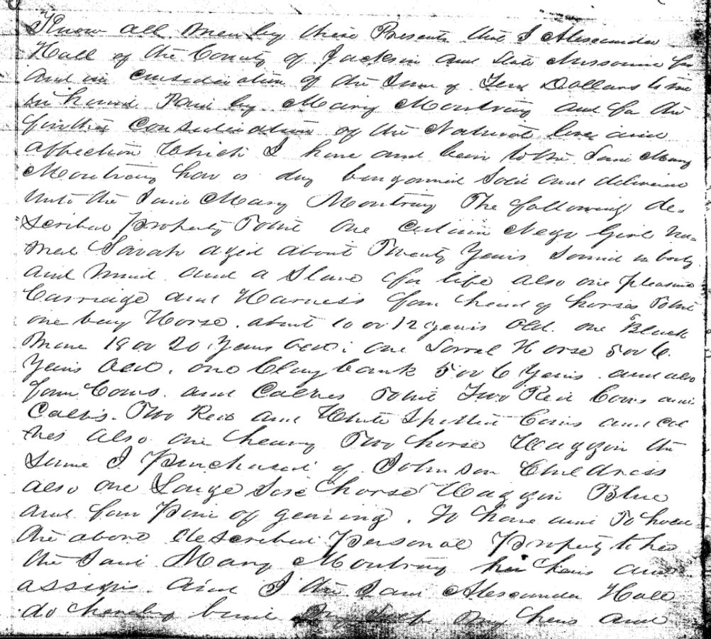 Bill of Sale: M. Hall to M. Montruy